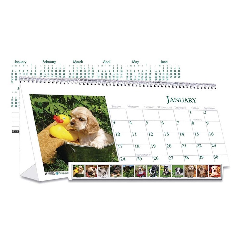 VMG FED FOUND PLATINUM – DS HOD3659