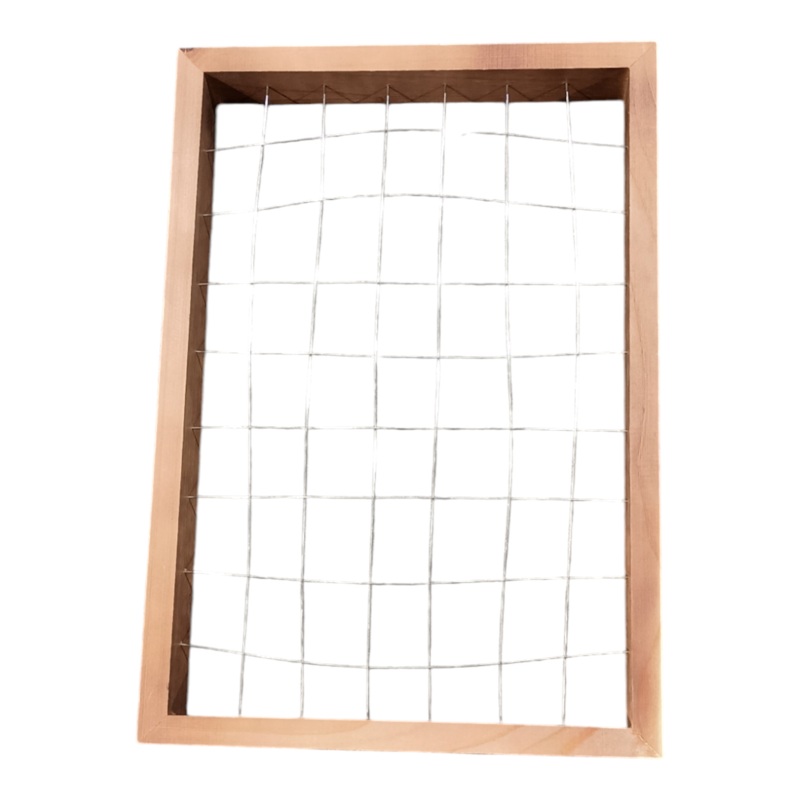 Mkono, Air Plant, Frame, 16×11