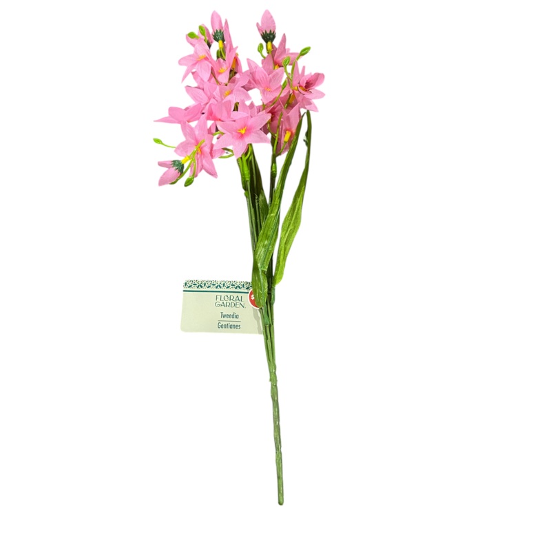 Floral Garden, Tweedia