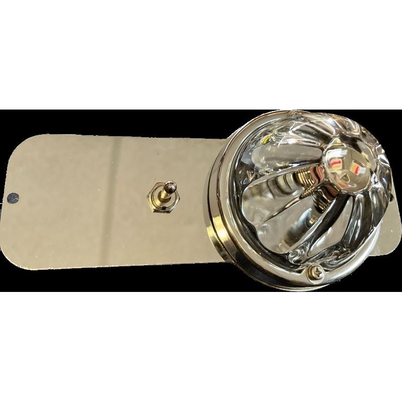 Peterbilt 579 / Kenworth T680 stainless steel dome light plate for watermelon lights