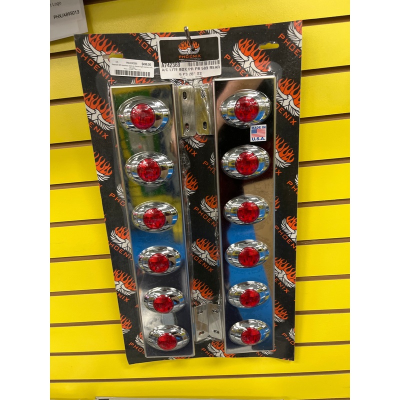 Peterbilt 589 stainless steel air cleaner light bracket with P3 LEDs