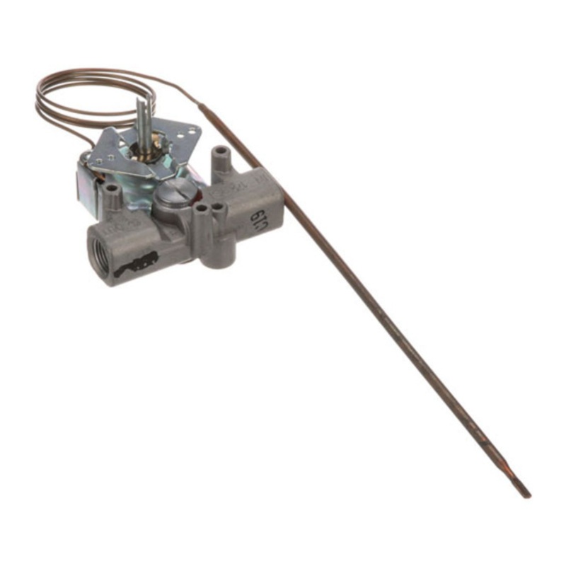 461658 – THERMOSTAT, GS