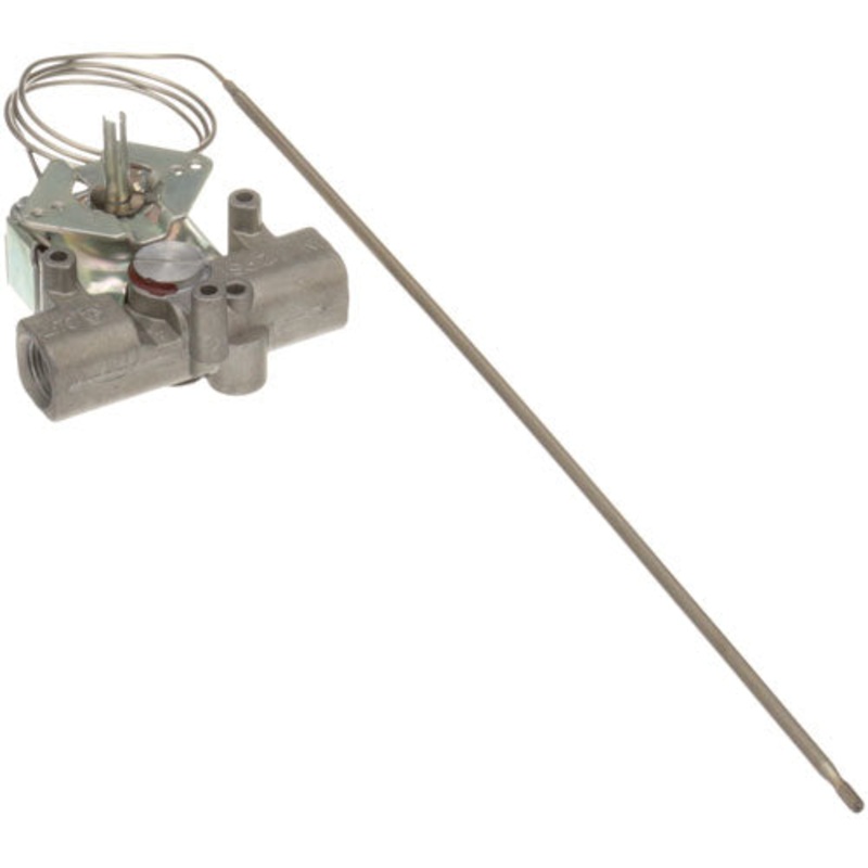 461843 – THERMOSTAT – GS