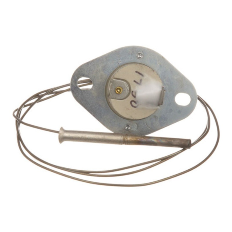 8009316 – FLAME SWITCH