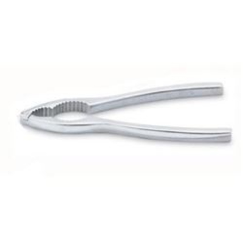 Lobster/Nut Cracker 6