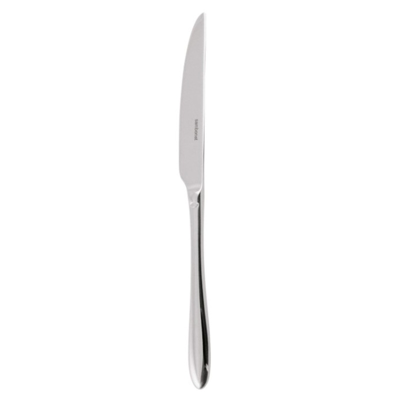 Rosenthal Steak Knife, 18/10 stainless steel, Dream – DZ