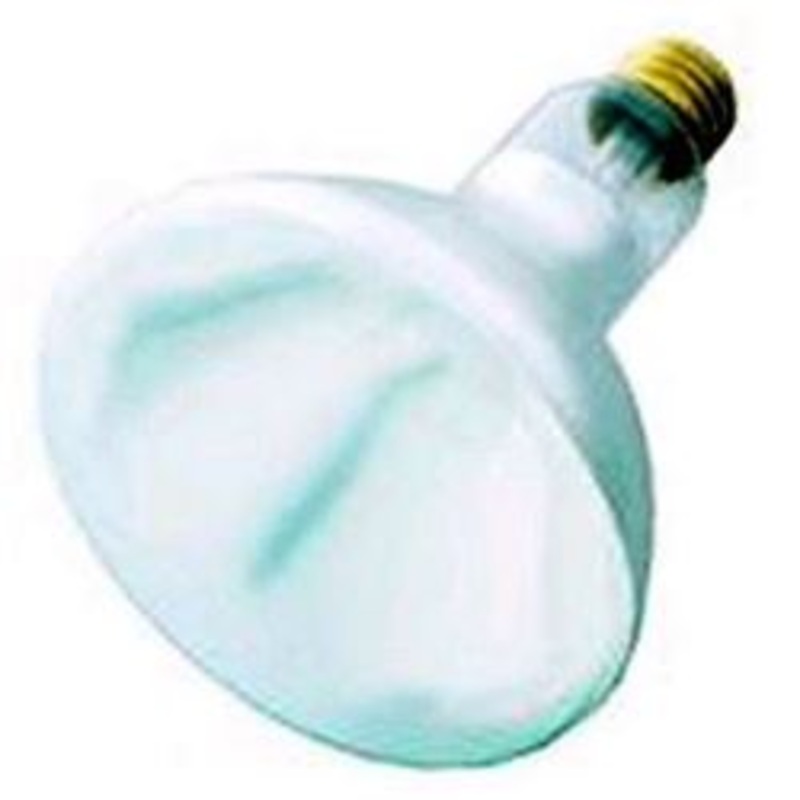 Shat-R-Shield Inc Infra RedBulb Clear 250 Watt – SHT250BR40/1