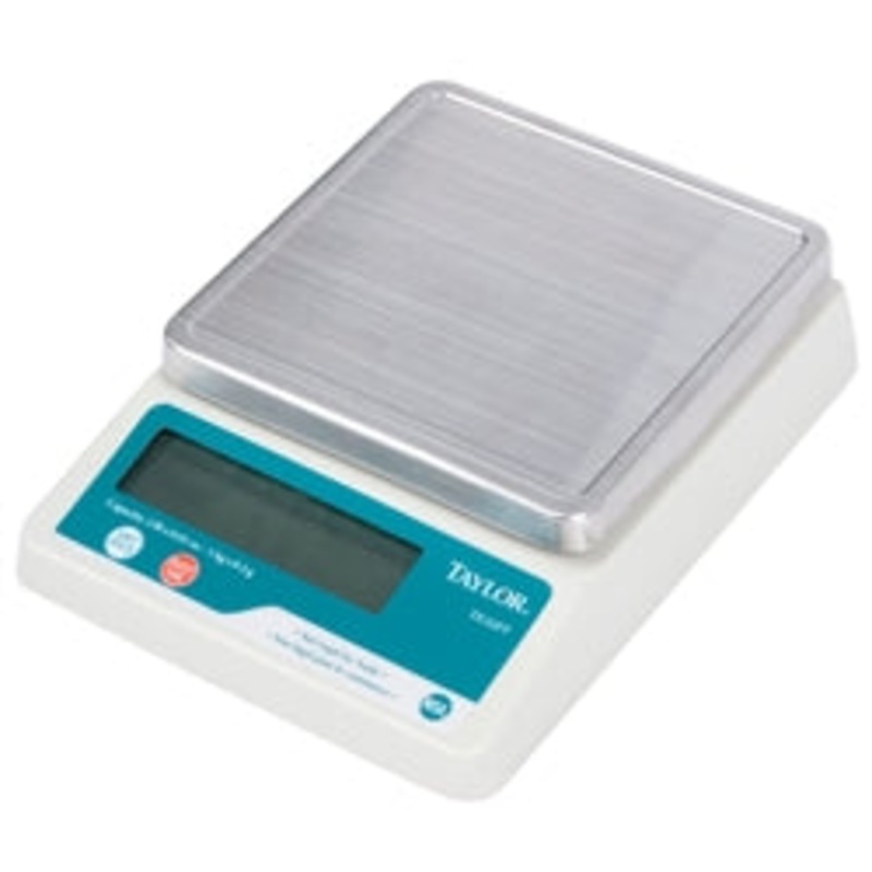 Taylor Precision Scale, 2 lb. Portion Control Digital – TE32FT
