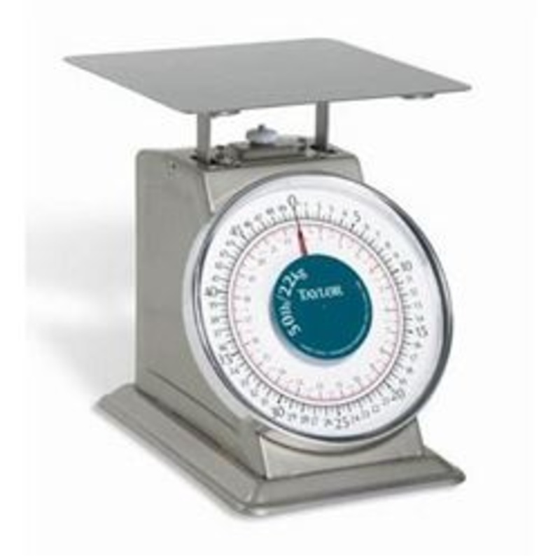 Taylor Precision Scale, Portion Control, 50 lb. Dial Type – THD50