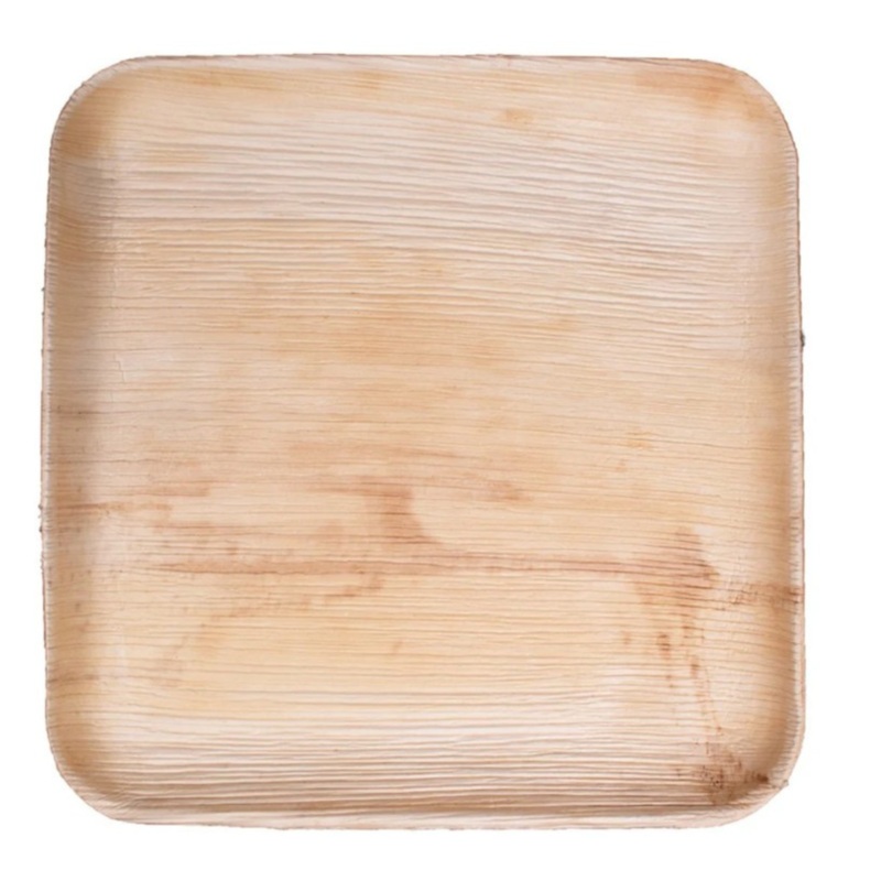 VerTerra 10 Square Plate – CS300