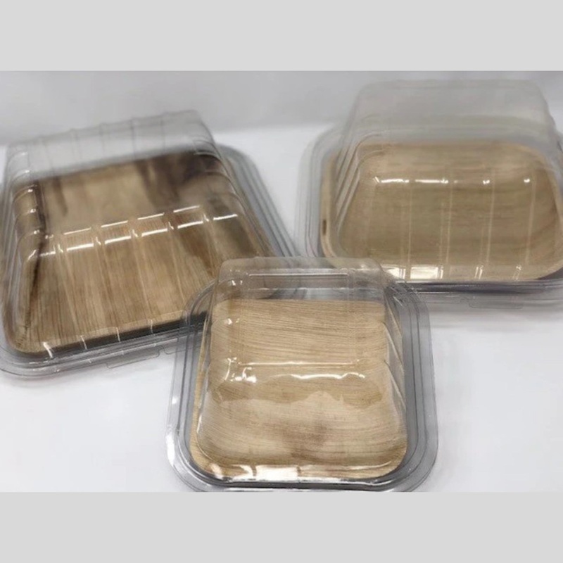 VerTerra 9 Separate Lid Case – CS150