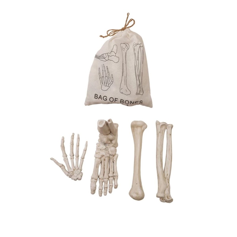 Resin Bag of Bones Set of 4 Printed Drawstring Bag