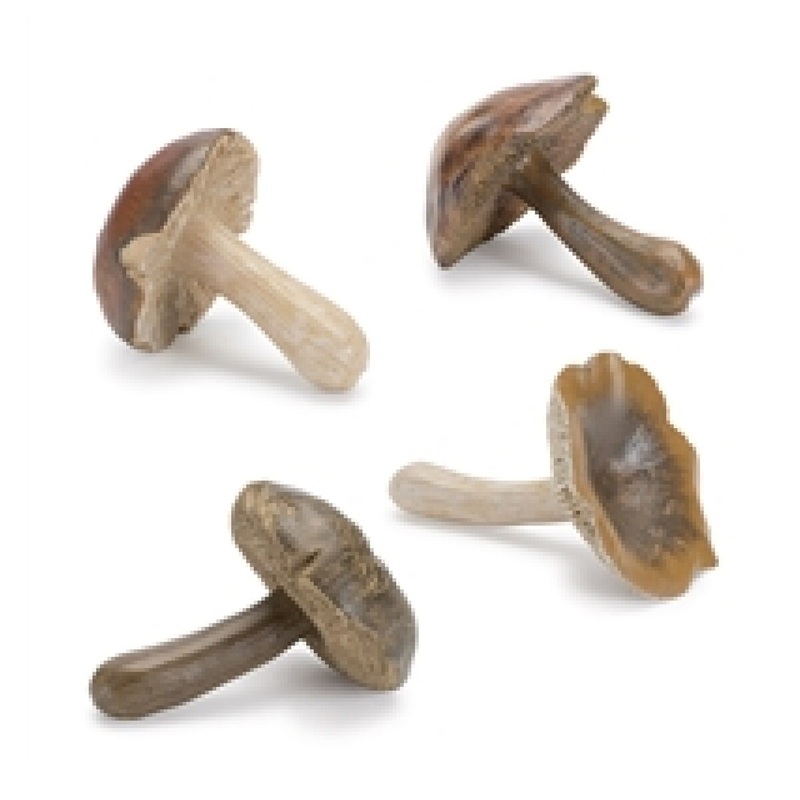 3 Resin Mushroom