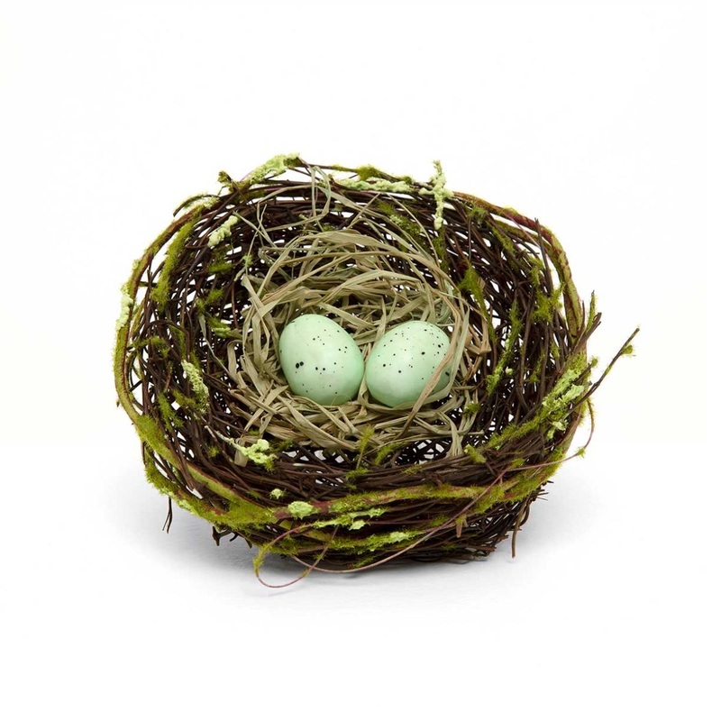 6 Nest w/Eggs