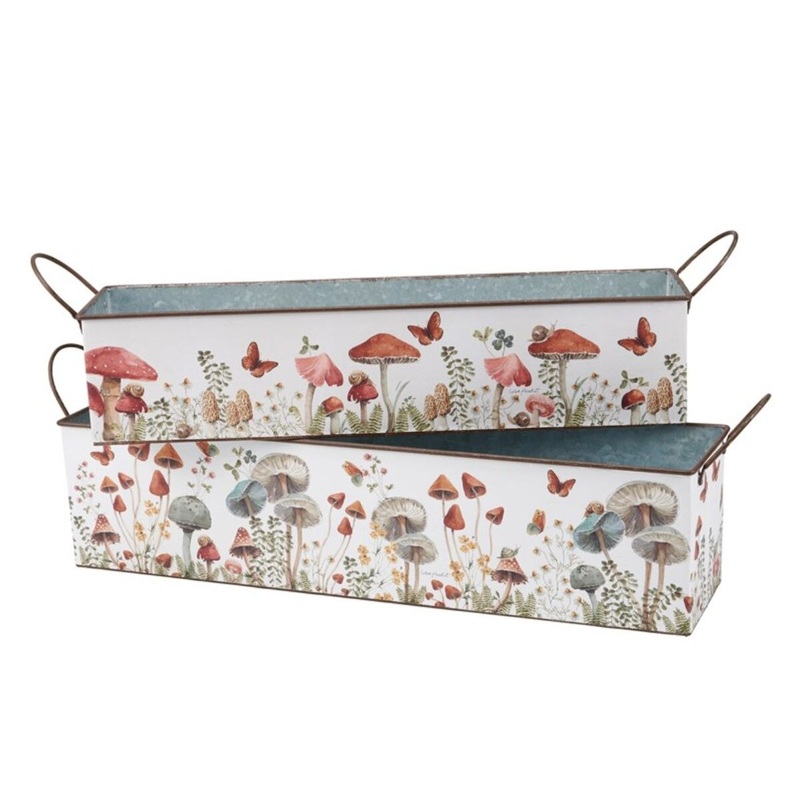 Mushroom Study Bin Set