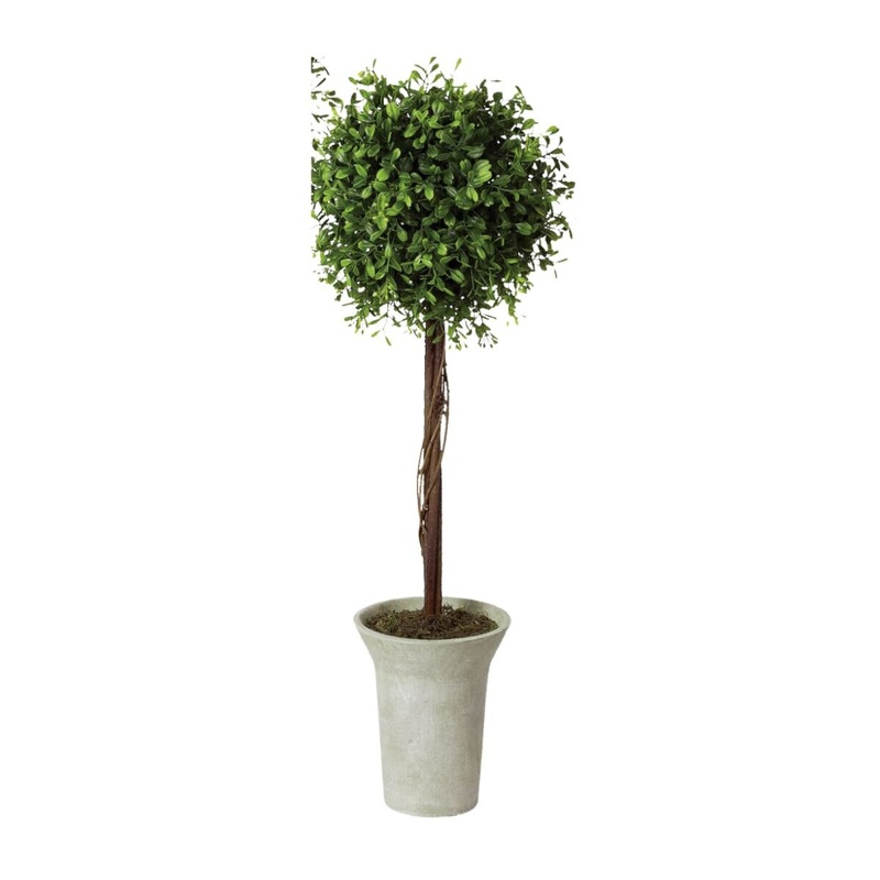 Boxwood Topiary Tree- Medium