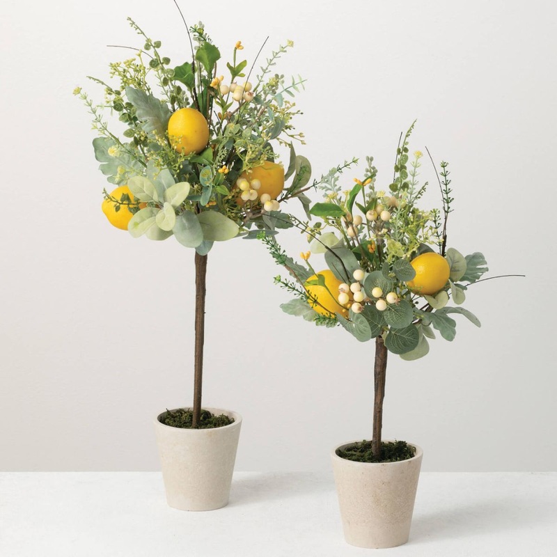 Herb/Lemon Topiary(dis)