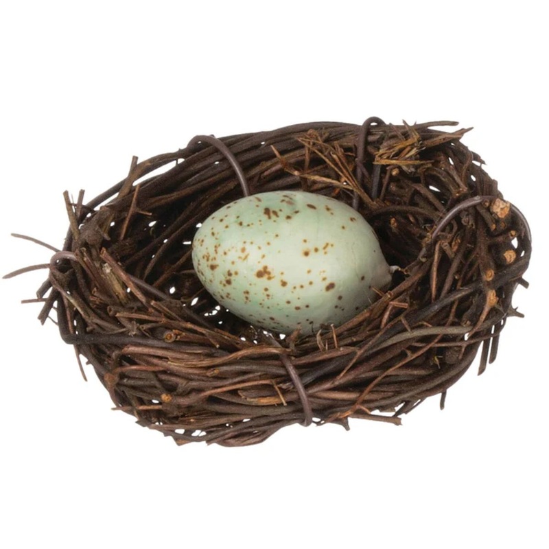 Nest w/egg