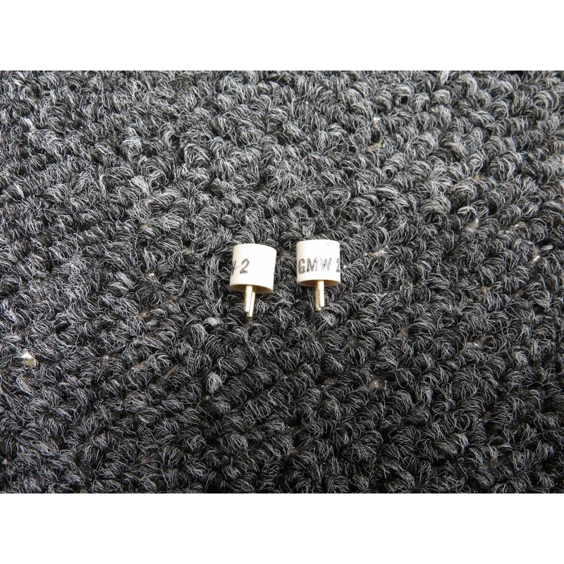 GMW-2 Bussmann Small Fuse Set of 2 (Amps: 2)